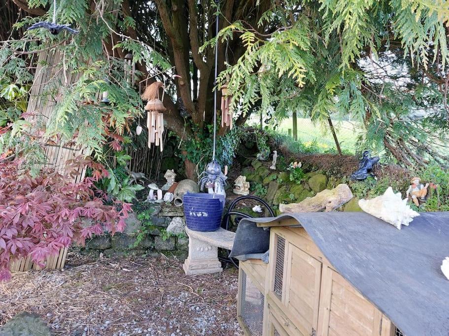 Cosy Cornish Cabin St Austell Exteriör bild